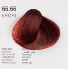 DIKSON COLOR ROSSO RIBES 120ML 66.66 6RORI STOCK 7PZ